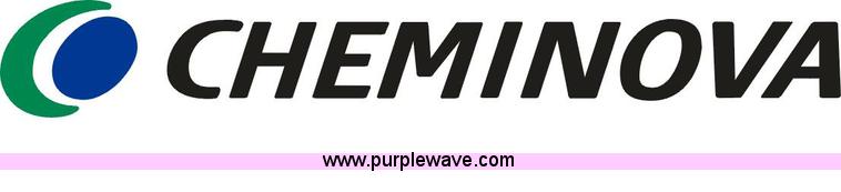 image for item B1601 Bubba Watson 2012 Masters Champion Commemorative Plaque