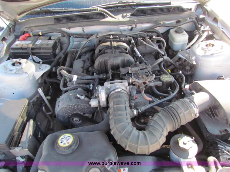 image for item E8182 2005 Ford Mustang