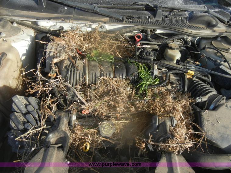 image for item D4568 1999 Chevrolet Lumina