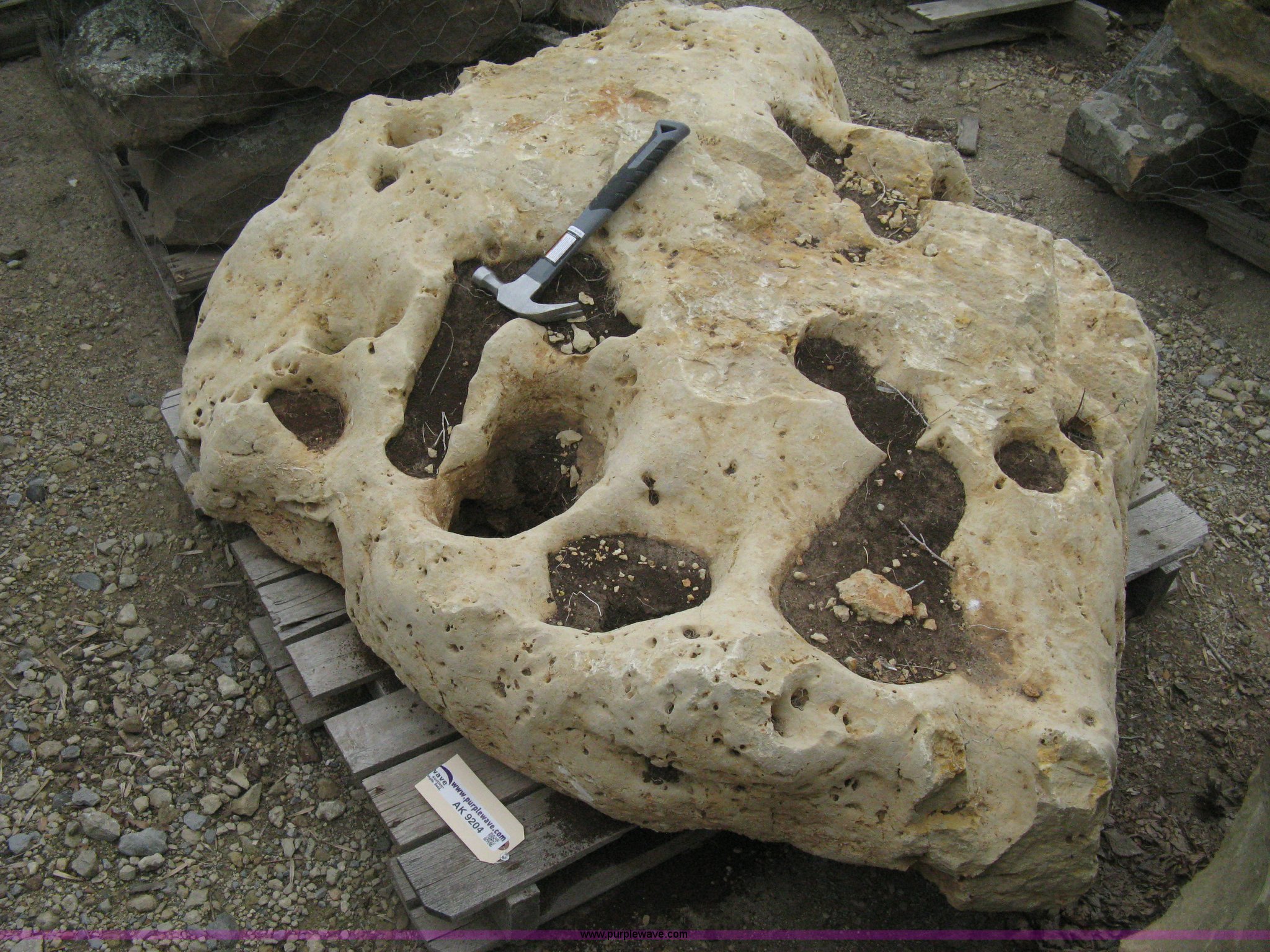 Holey Kansas limestone boulder in Wichita, KS | Item AK9204 sold ...
