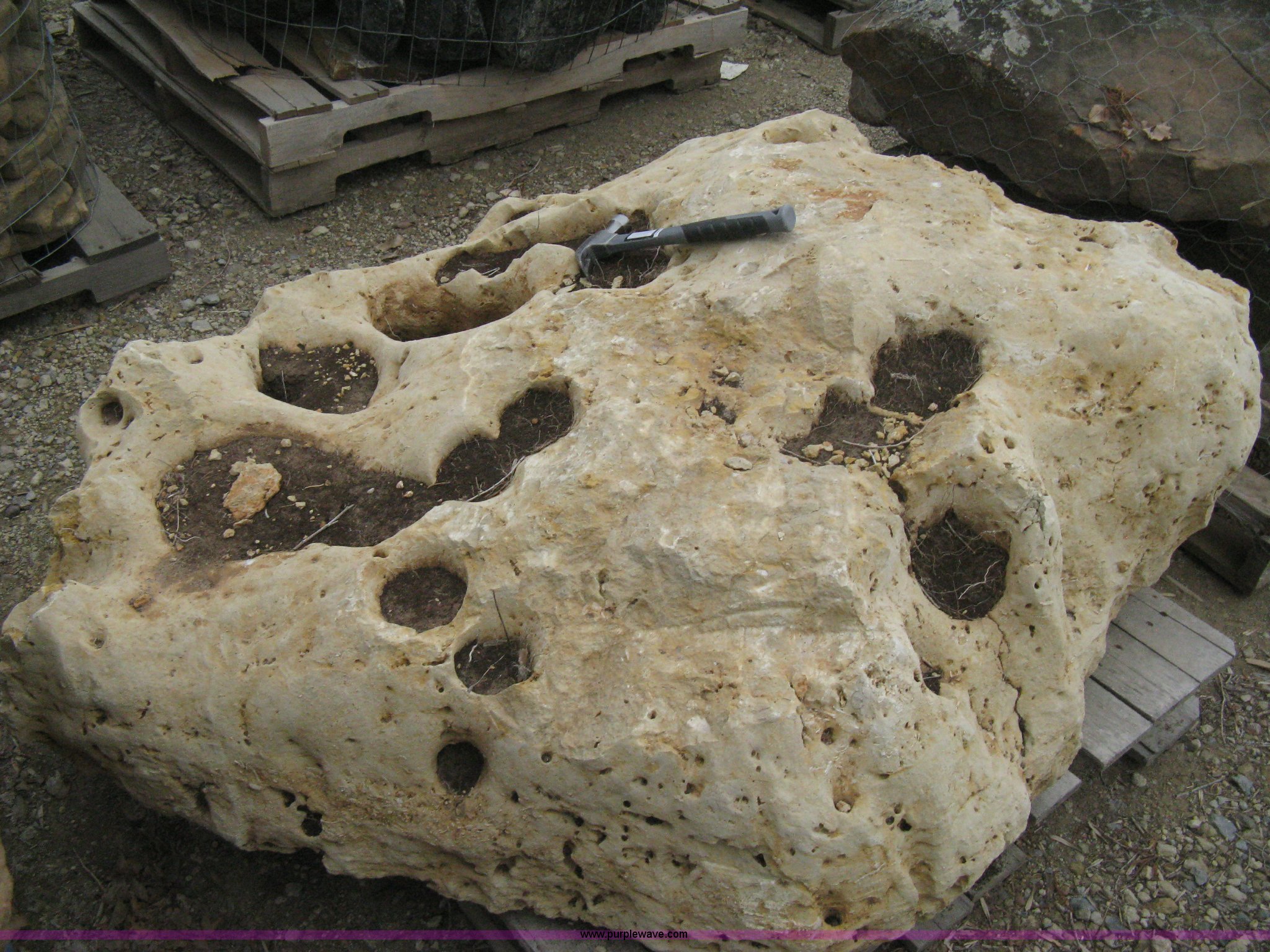 Holey Kansas limestone boulder in Wichita, KS | Item AK9204 sold ...