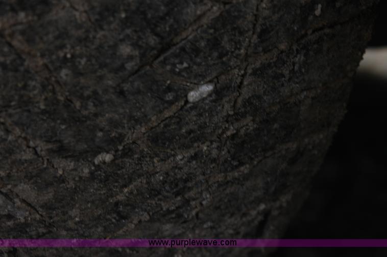 image for item AA9150 2010 Ford Crown Victoria Police Interceptor