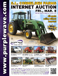 Auction flyer