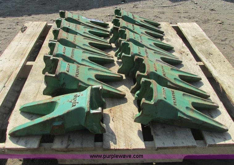 image for item AK9846 (12) Esco cutting teeth