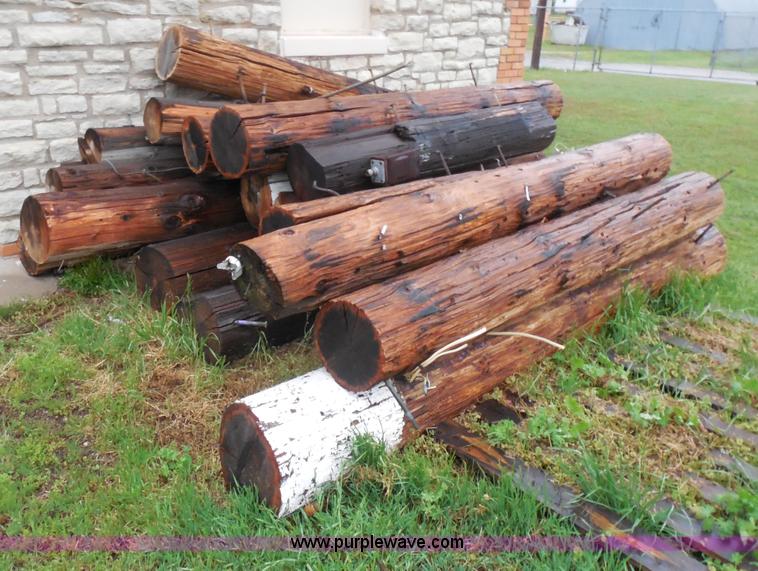 image for item AD9362 Approximately 40 cut light poles