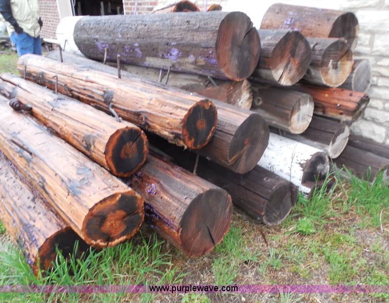 image for item AD9362 Approximately 40 cut light poles