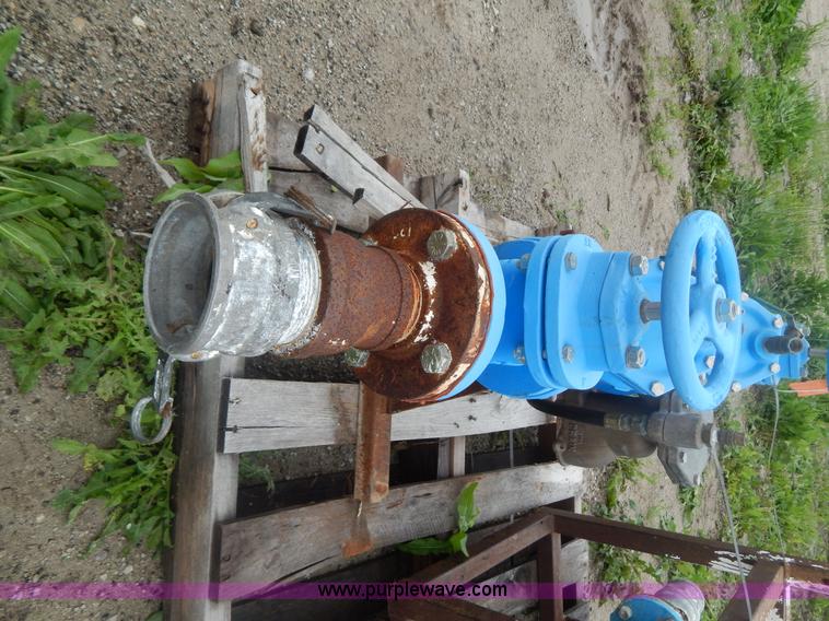 image for item AE9875 RPZ back flow preventer