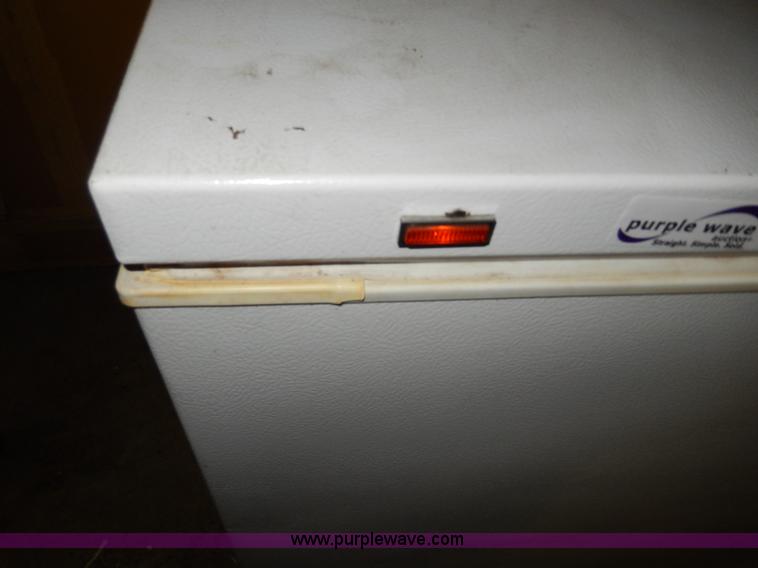 image for item AA9300 Commercial freezer chest