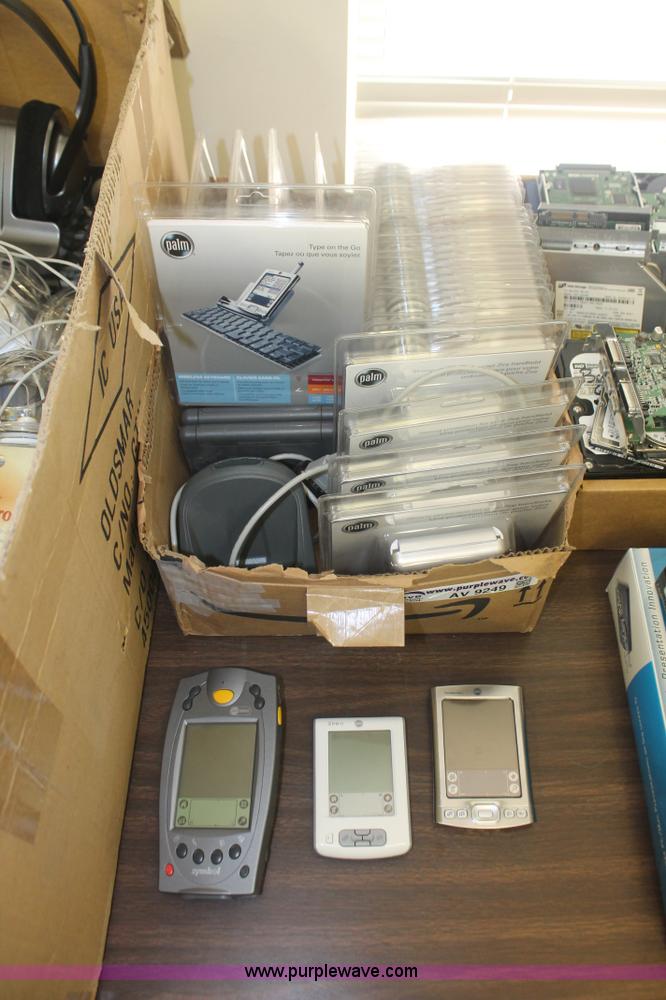 image for item AV9249 Assorted Palm accessories