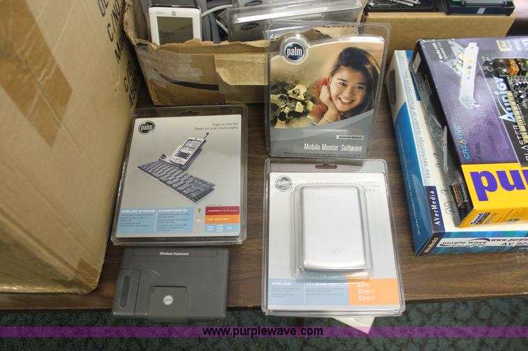 image for item AV9249 Assorted Palm accessories