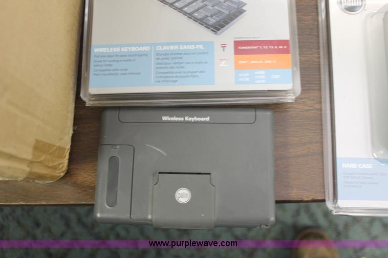 image for item AV9249 Assorted Palm accessories