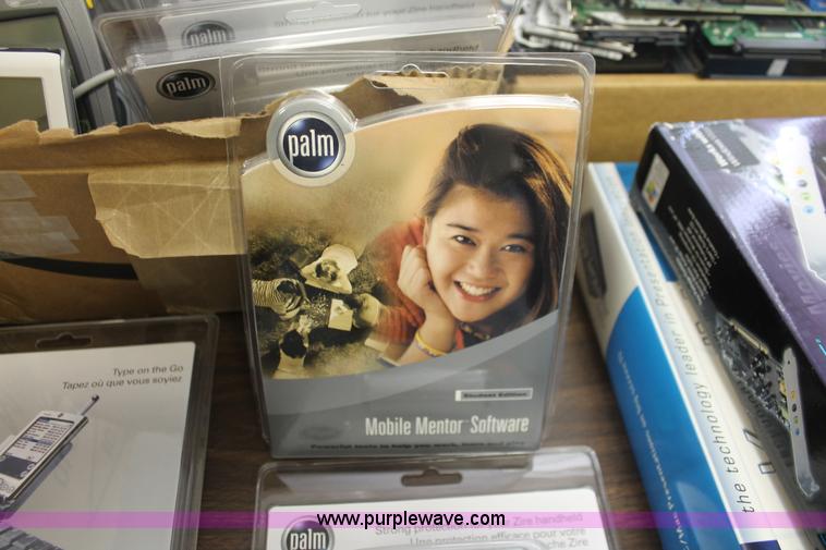 image for item AV9249 Assorted Palm accessories