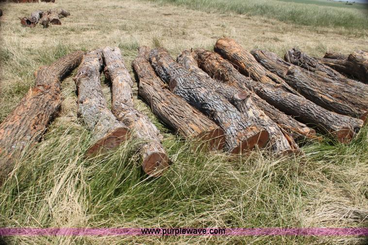 (78) hedge corner posts in Waverly, KS Item AE9195 sold Purple Wave