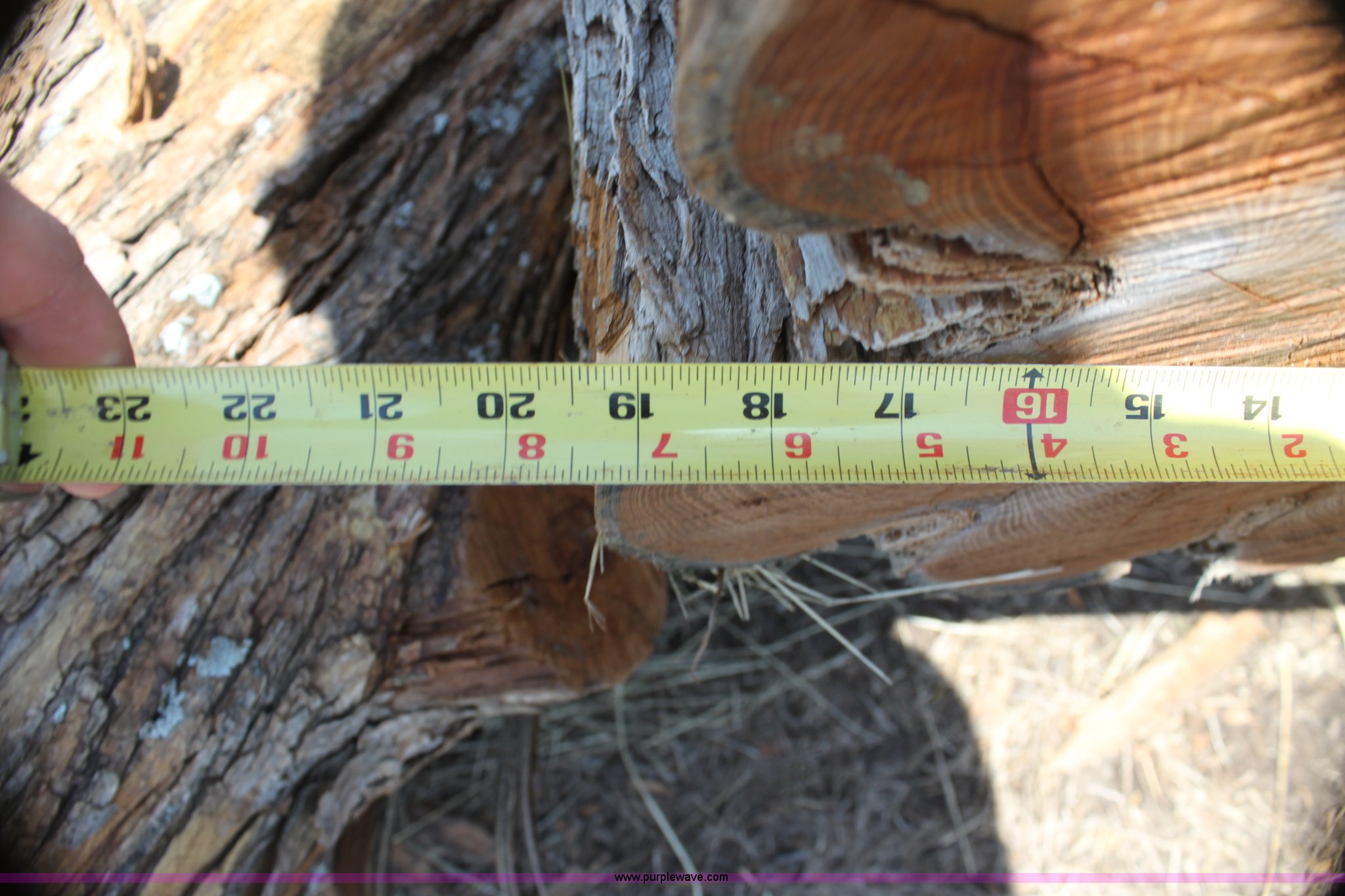 (78) hedge corner posts in Waverly, KS Item AE9195 sold Purple Wave