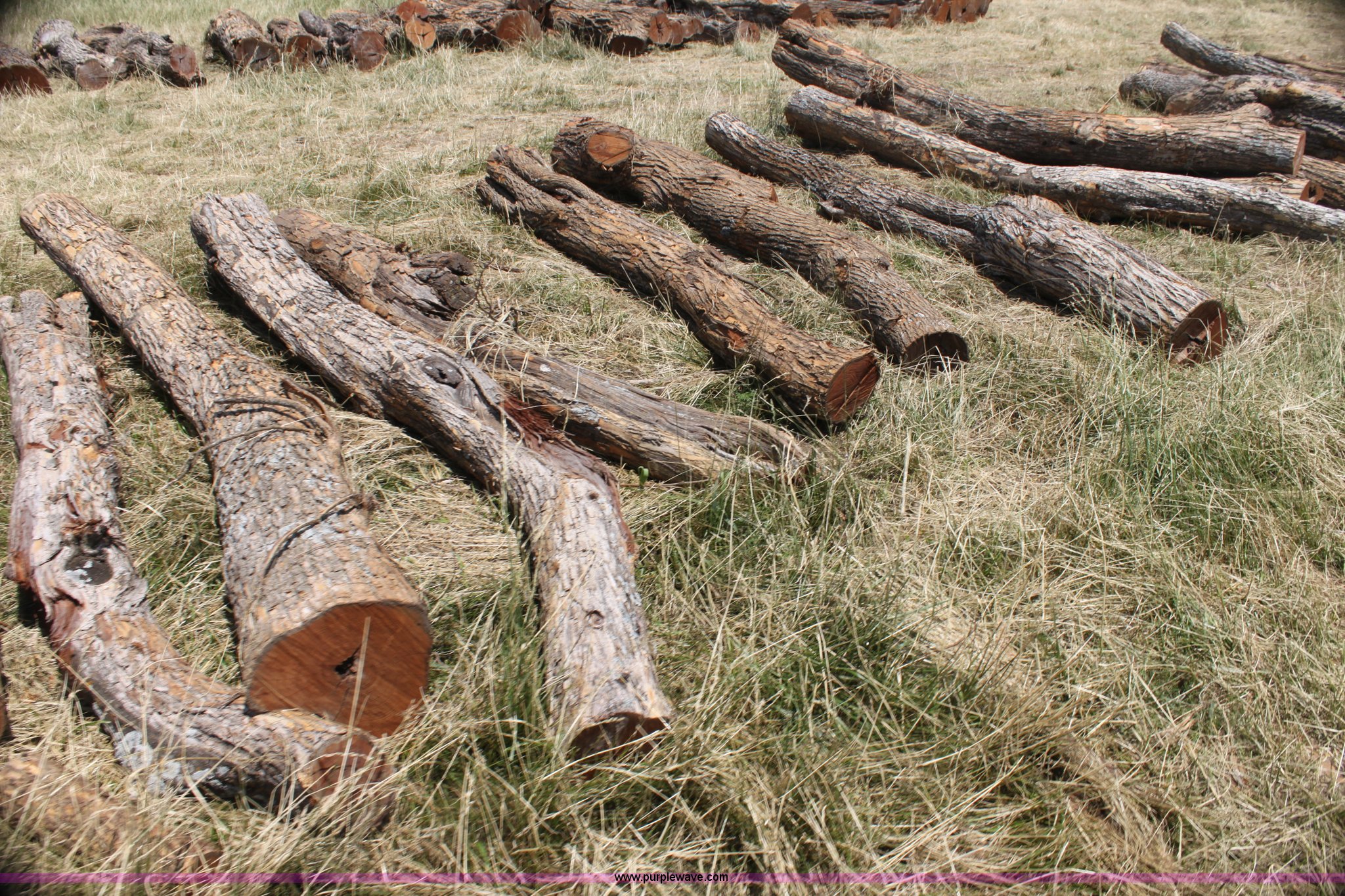 (67) hedge corner posts in Waverly, KS Item AE9196 sold Purple Wave