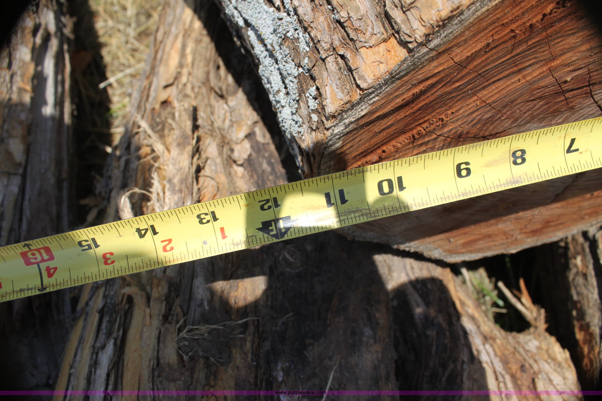 (67) hedge corner posts in Waverly, KS Item AE9196 sold Purple Wave