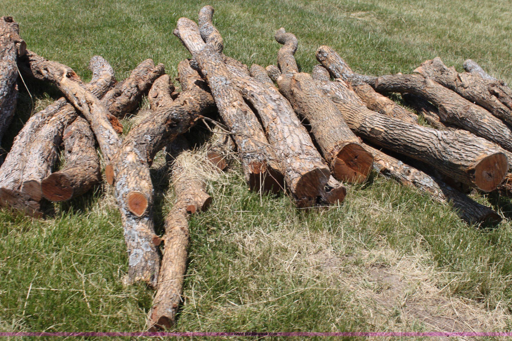 (125) hedge posts in Waverly, KS Item AE9198 sold Purple Wave