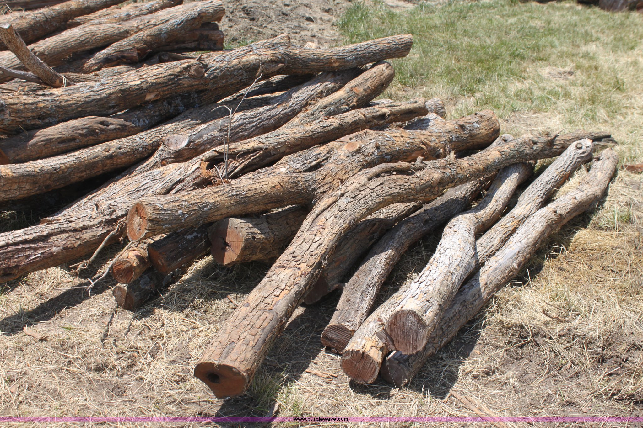 (125) hedge posts in Waverly, KS Item AE9198 sold Purple Wave