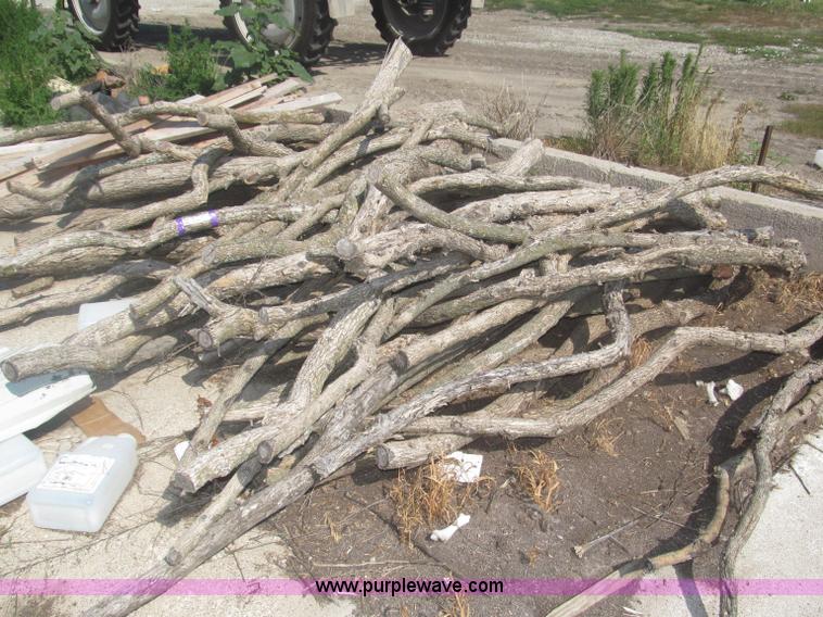 image for item AE9481 Approximately 90 sand hill hedge posts