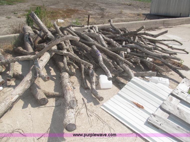 image for item AE9481 Approximately 90 sand hill hedge posts