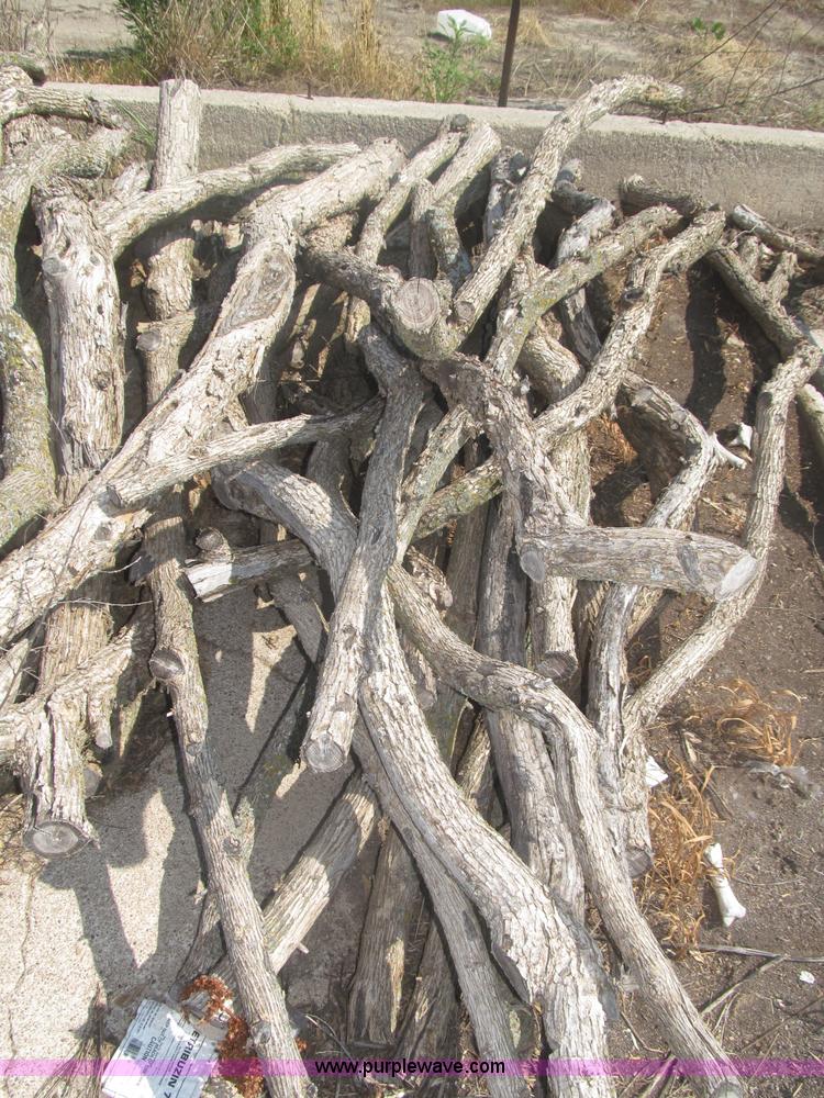 image for item AE9481 Approximately 90 sand hill hedge posts