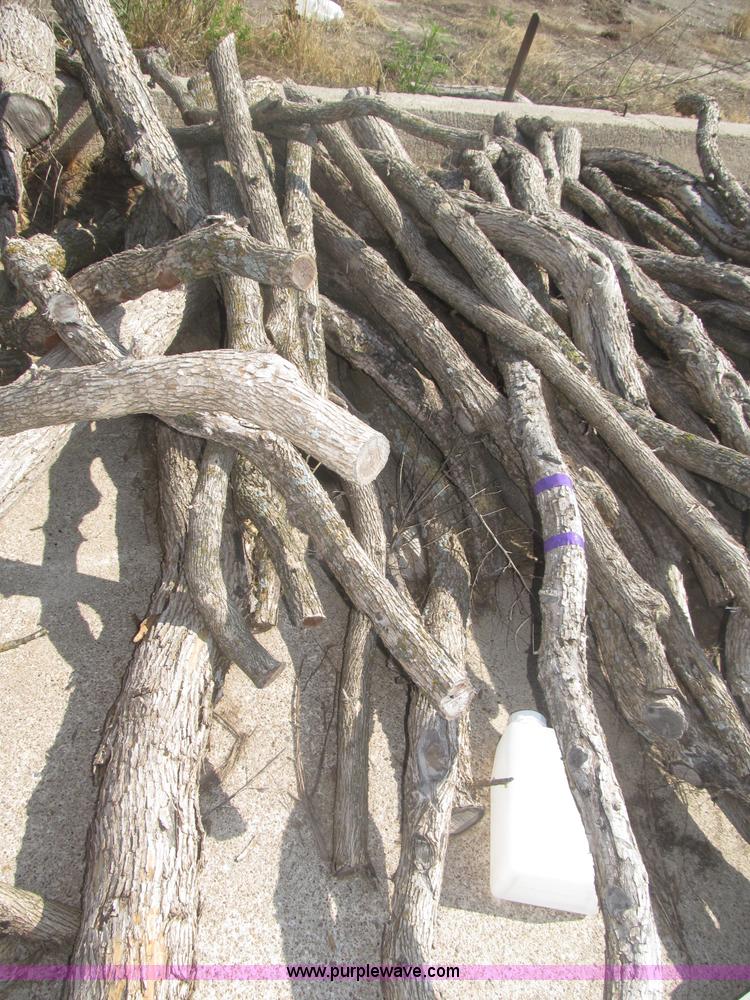 image for item AE9481 Approximately 90 sand hill hedge posts