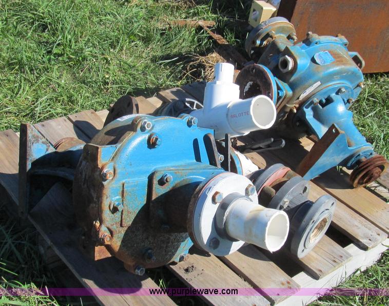 image for item O9225 (2) Crown Barnes pumps