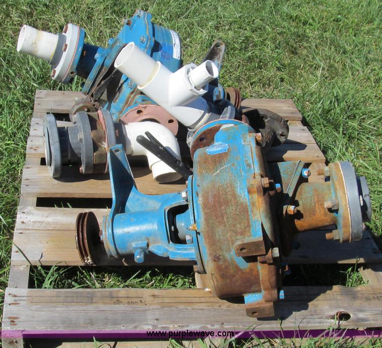 image for item O9225 (2) Crown Barnes pumps