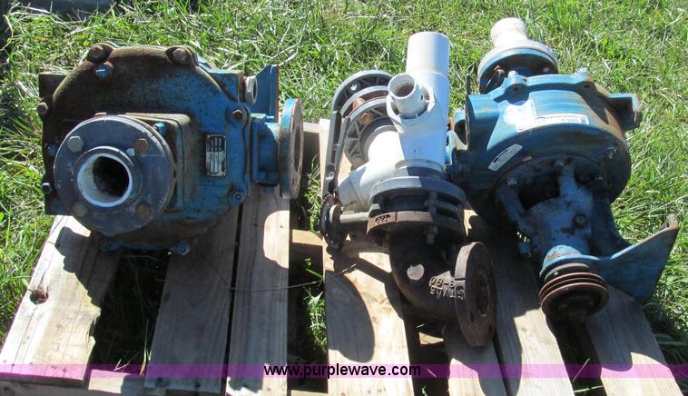 image for item O9225 (2) Crown Barnes pumps