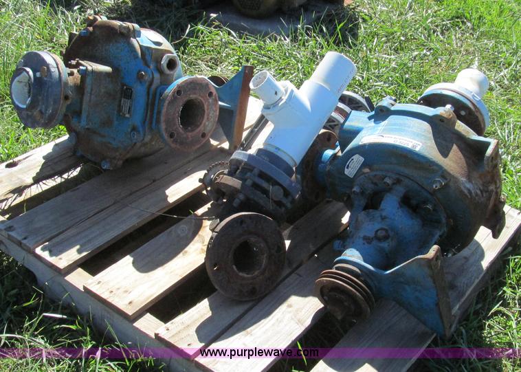 image for item O9225 (2) Crown Barnes pumps