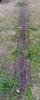 image for item AT9309
