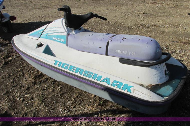 image for item F5352 1994 Artic Cat Montego Tiger Shark personal watercraft
