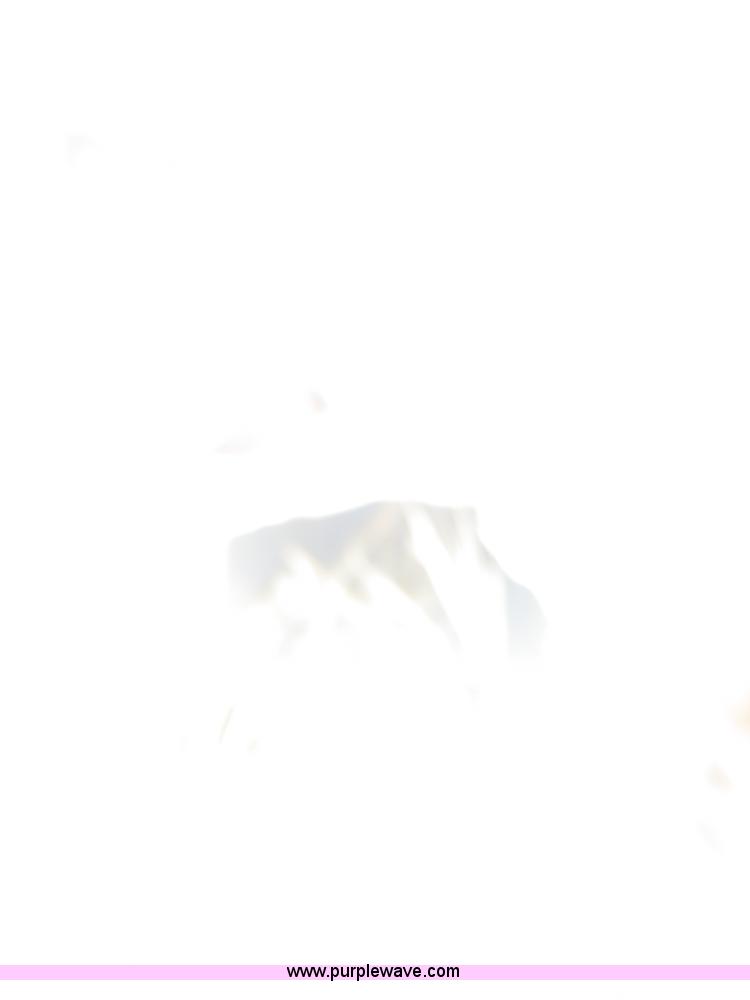 image for item F8091 Blow-Hard bunk blower