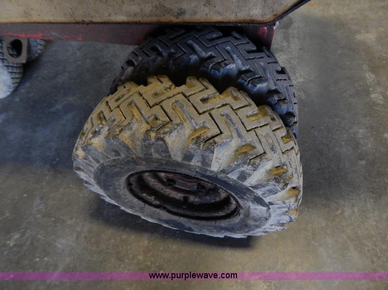 image for item I1247 Amida Whiteman power buggy