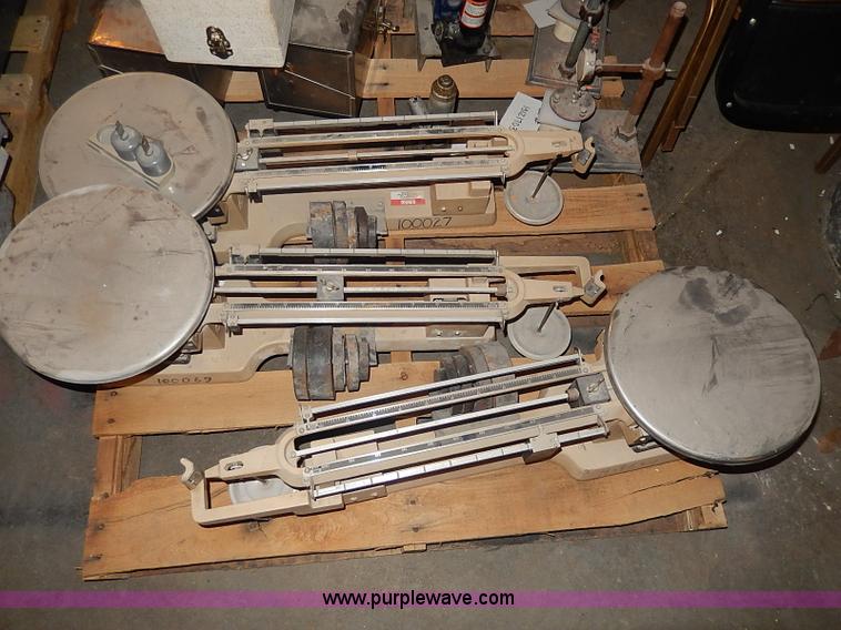 image for item AP9166 Assorted scales