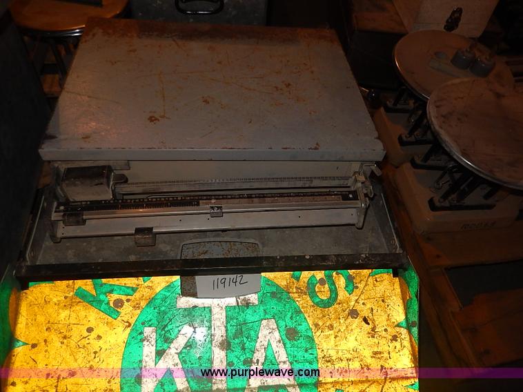 image for item AP9166 Assorted scales