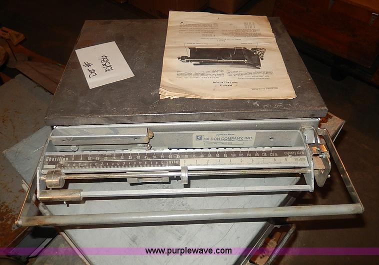 image for item AP9166 Assorted scales