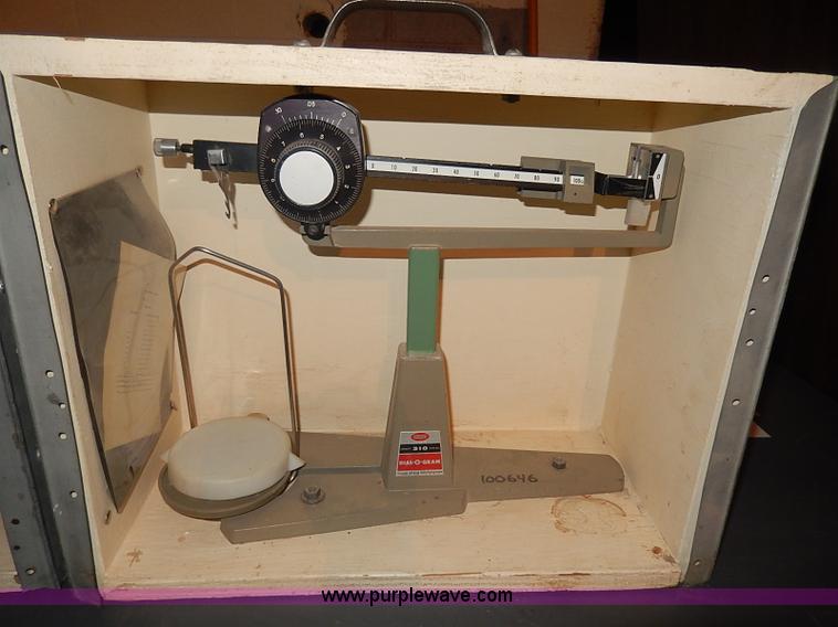 image for item AP9166 Assorted scales