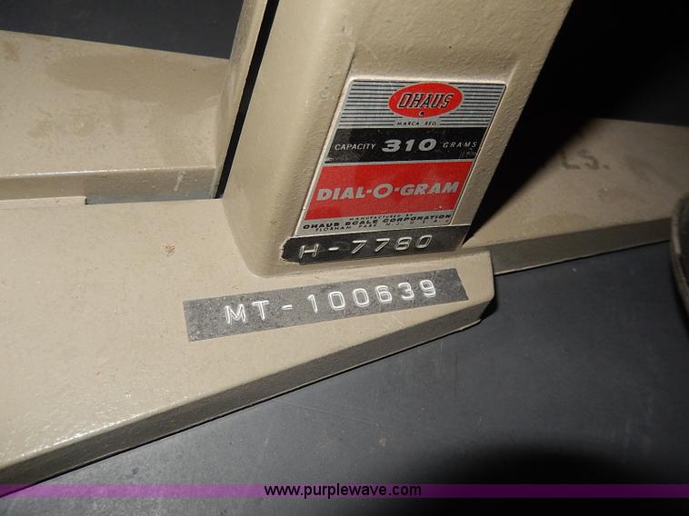 image for item AP9166 Assorted scales