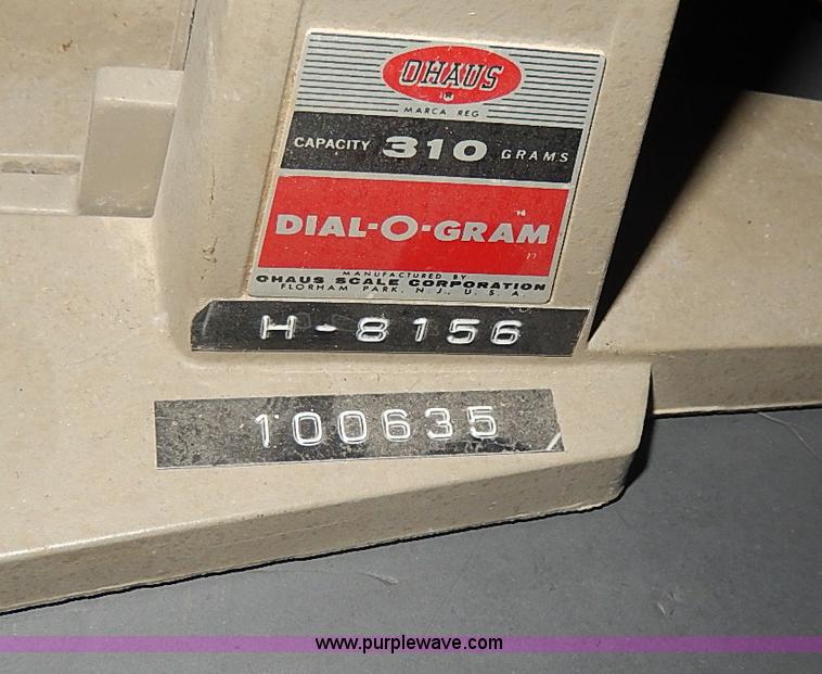 image for item AP9166 Assorted scales