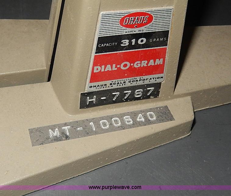 image for item AP9166 Assorted scales