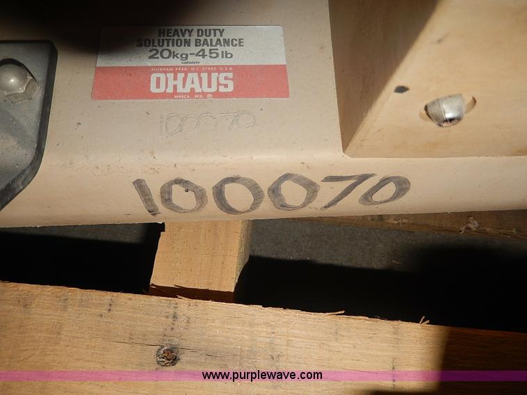 image for item AP9166 Assorted scales