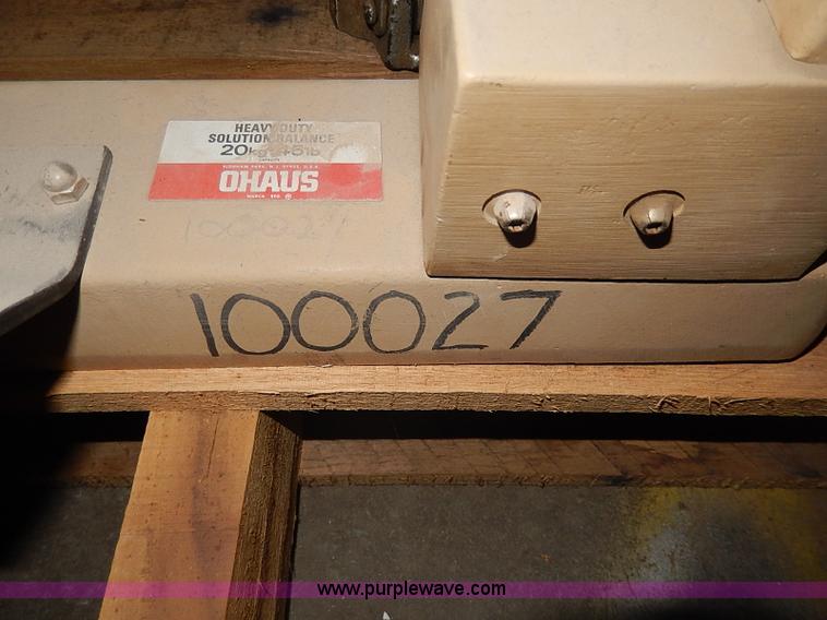 image for item AP9166 Assorted scales