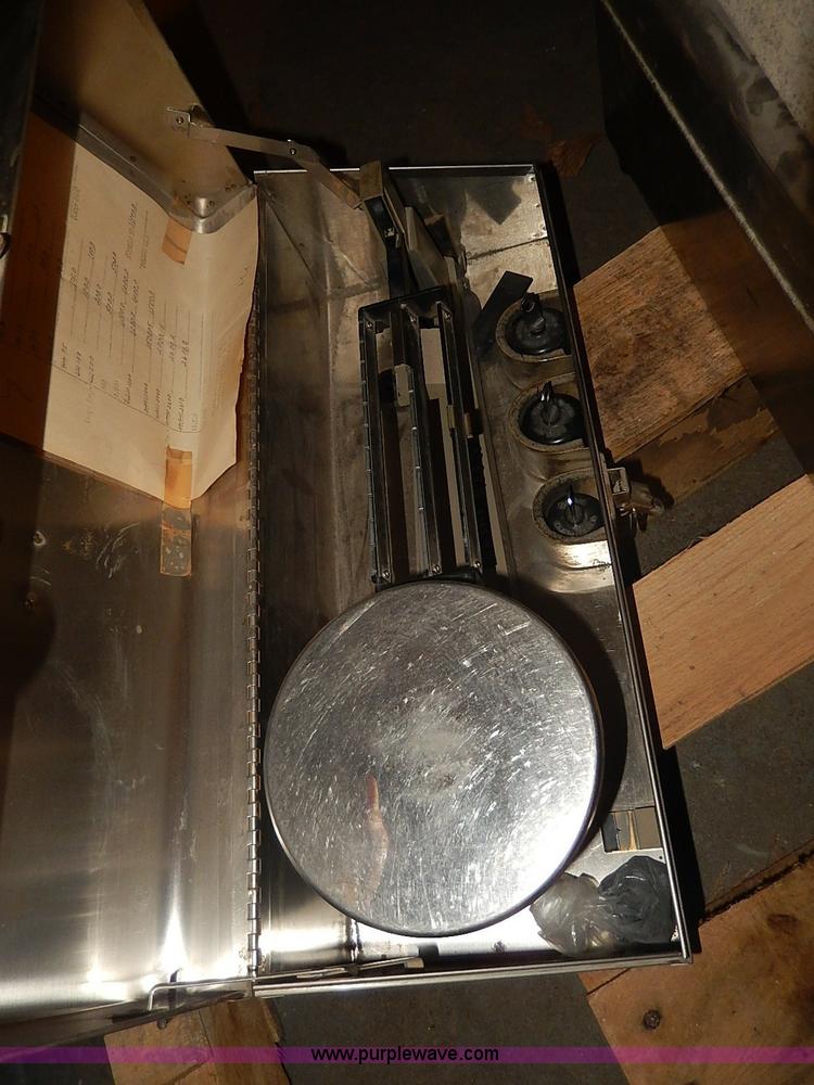 image for item AP9166 Assorted scales