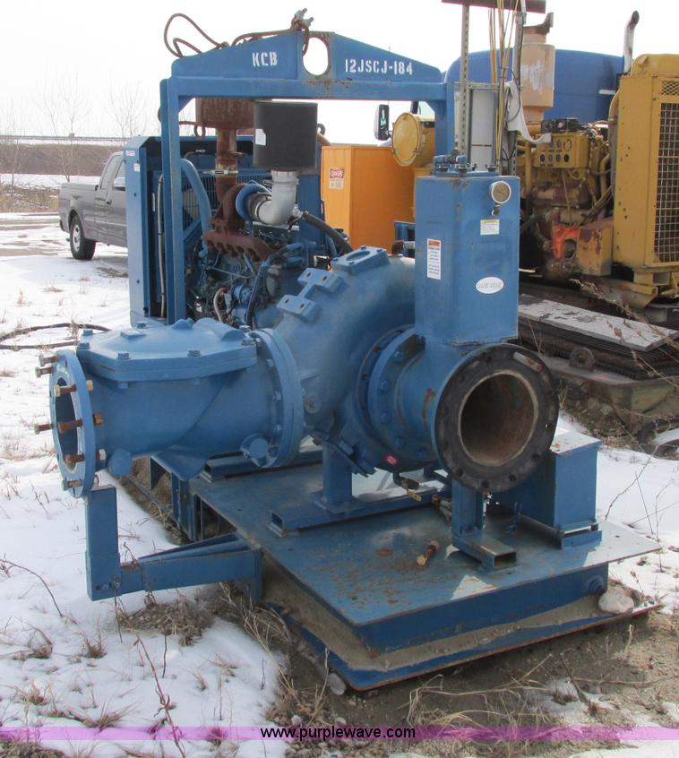 image for item Z9221 Thompson Pump 12JSCJ self-contained 12" water pump