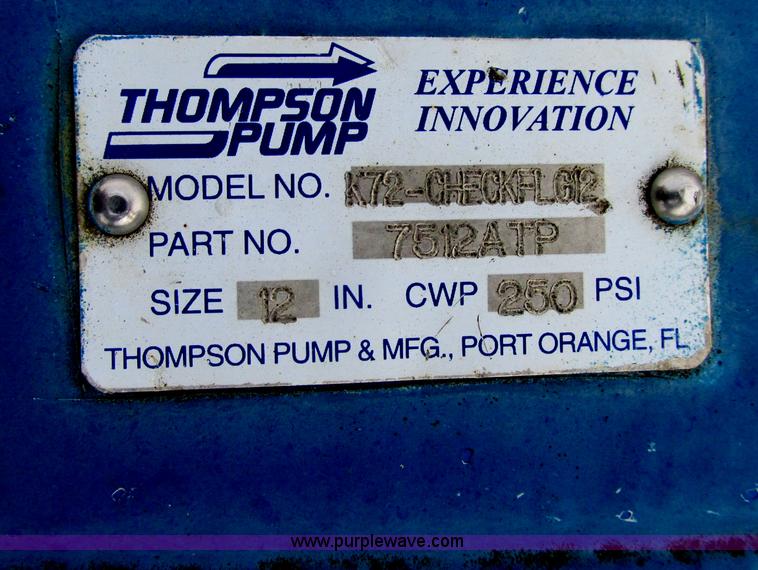 image for item Z9221 Thompson Pump 12JSCJ self-contained 12" water pump