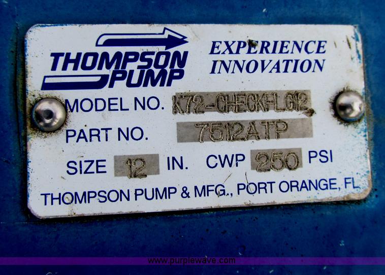 image for item Z9221 Thompson Pump 12JSCJ self-contained 12" water pump