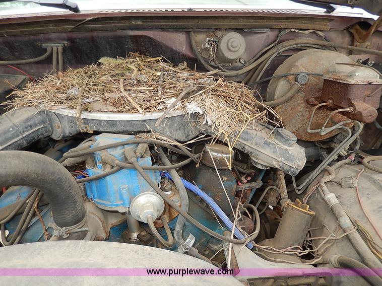 image for item H6054 1982 Ford Bronco