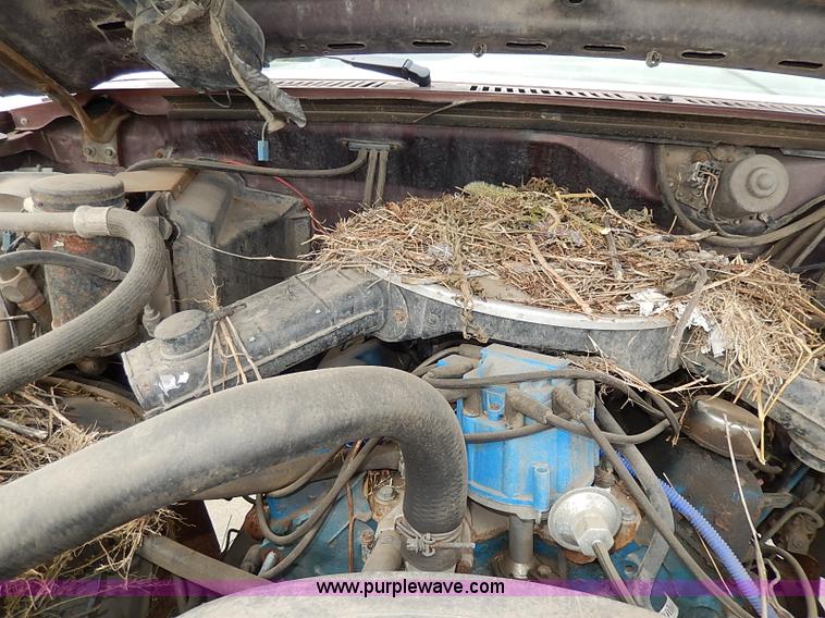 image for item H6054 1982 Ford Bronco