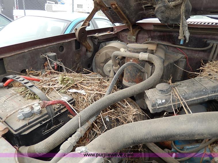 image for item H6054 1982 Ford Bronco